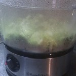 Steaming broccoli Steaming broccoli