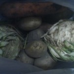 Vegetables! Vegetables!